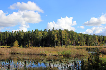 Image showing Autum Marshland Lake