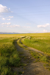 Image showing Path in the Field
