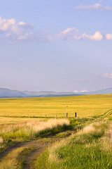 Image showing Path Leading to a Field in Montana