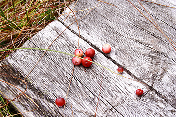 Image showing Few red cranberries on whethered wood bench