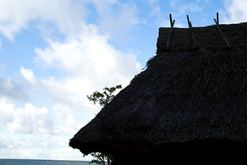 Image showing House whose roof were maded from reed