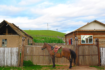 Image showing Horse near yard