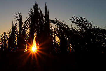 Image showing Exotic sunrise