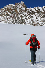 Image showing Ski touring