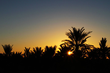 Image showing Sunrise in paradise