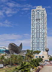 Image showing whale Barcelona Spain