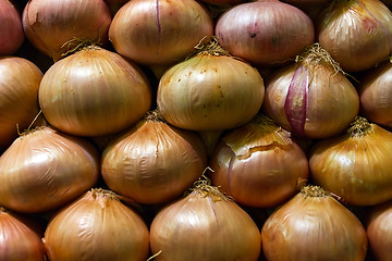 Image showing onions