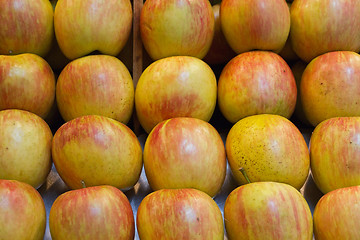 Image showing apples