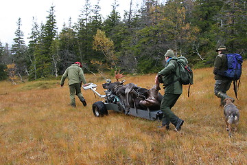 Image showing Moose hunt - Norway - Transport