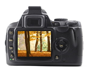 Image showing landscape on cam display