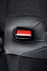 Image showing seat belt