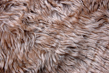 Image showing pelt texture