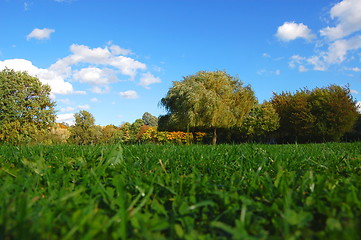 Image showing forest and garden under blue sky at fall