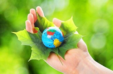 Image showing globe in hand