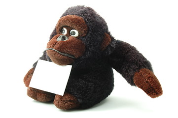 Image showing isolated teddy with blank sheet