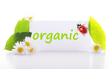 Image showing organic