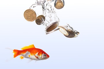 Image showing goldfish and money