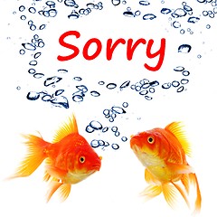 Image showing sorry