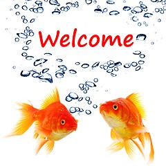 Image showing welcome