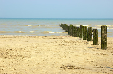 Image showing Beach