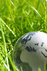 Image showing glass globe or earth in grass