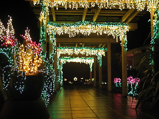 Image showing Corridor of Lights