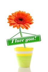 Image showing i love you flower