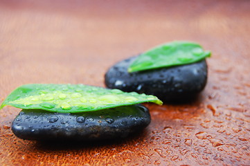 Image showing zen concept with stones and leaves