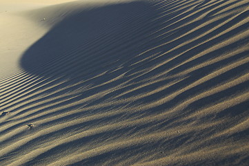 Image showing Desert detail