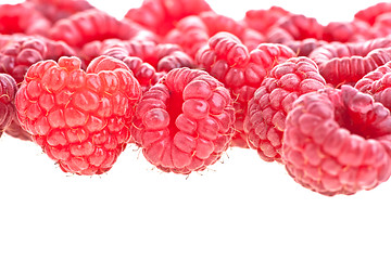 Image showing Rasberries
