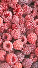 Image showing Rasberries