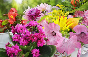 Image showing sunny garden flower arrangement