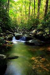 Image showing cascading mountain stream