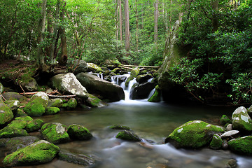 Image showing cascading mountain stream