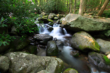 Image showing beautiful mountain stream with cascading waterfalls