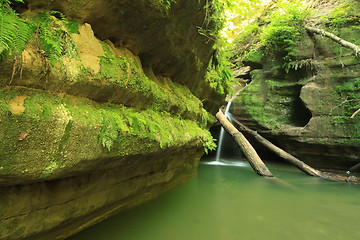 Image showing waterfall two logs