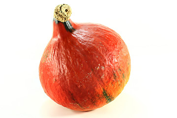 Image showing pumpkin