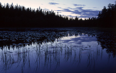 Image showing Forest lake at night