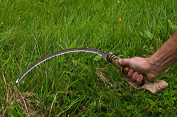 Image showing A sickle is used for cutting grass