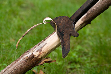 Image showing Antique tool to remove wane from trunks