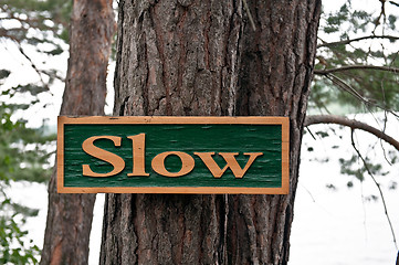 Image showing Sign to slow on the tree