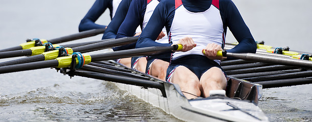 Image showing Rowing team