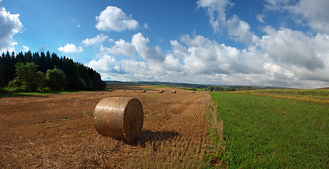 Image showing Hay harvest