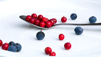 Image showing A plate with cranberries and blue berries