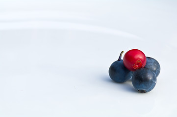 Image showing Cranberry and blue berries on a white plate