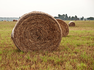 Image showing Straw bales