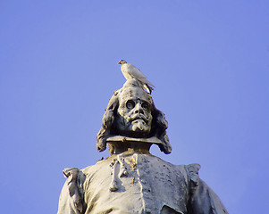 Image showing a dove on the head