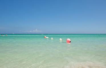 Image showing Buoys in the water Pacific ocean