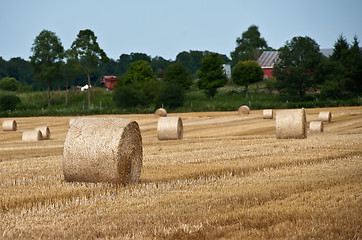 Image showing Straw bales