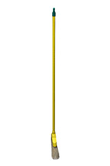 Image showing Yellow Broom